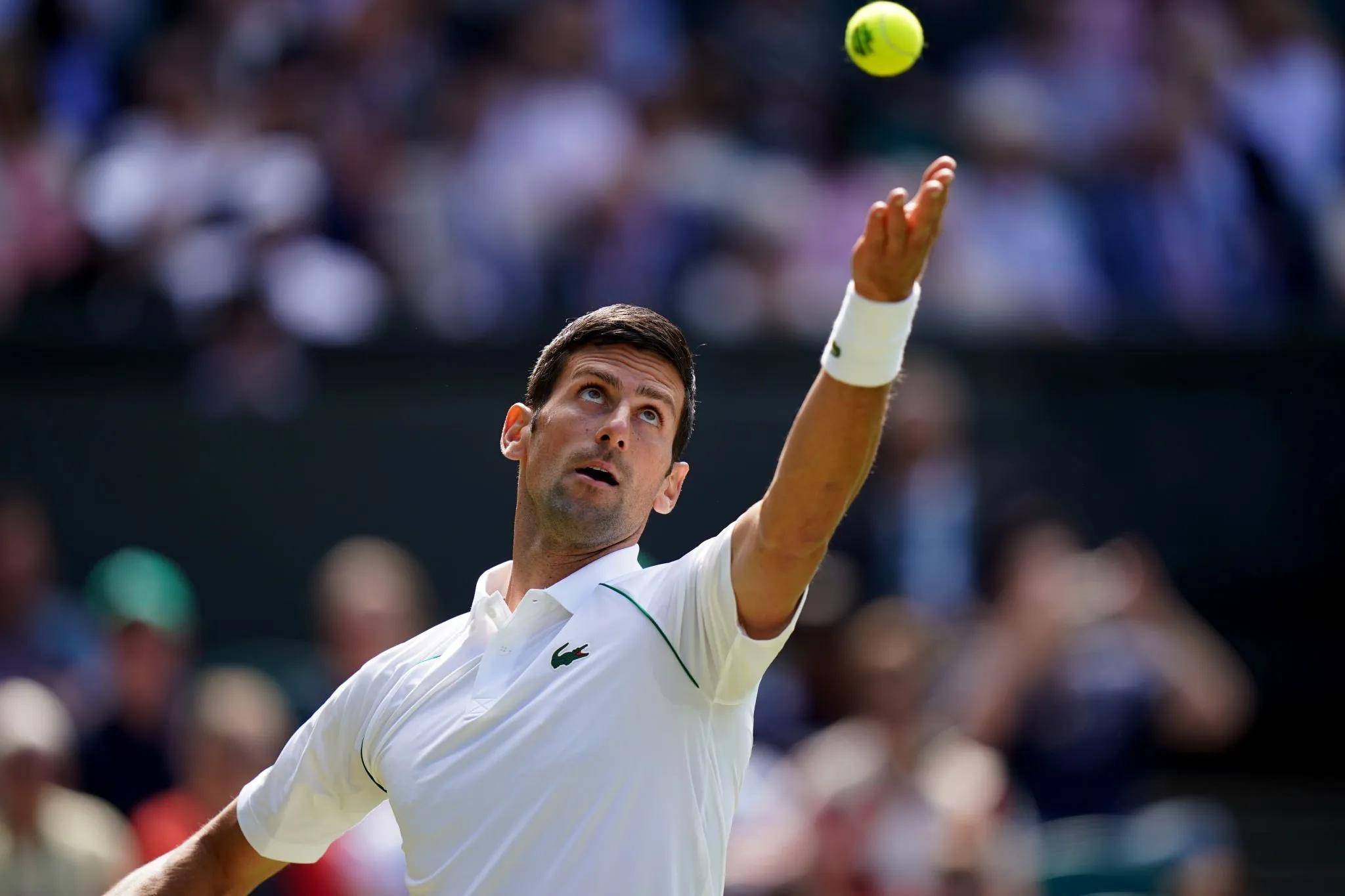 德约科维奇连续二十场比赛得分超过状态火爆，快船冲击纪录！