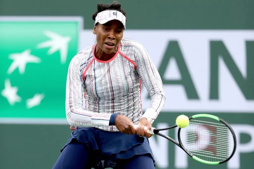 包含国乒回归回归闪耀表现，费德勒球迷集体呐喊的词条